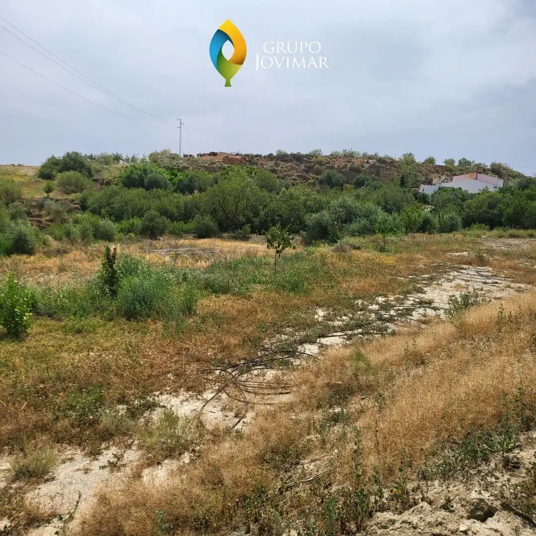 Terreno rustico in vendita a Caniles, imagen 3