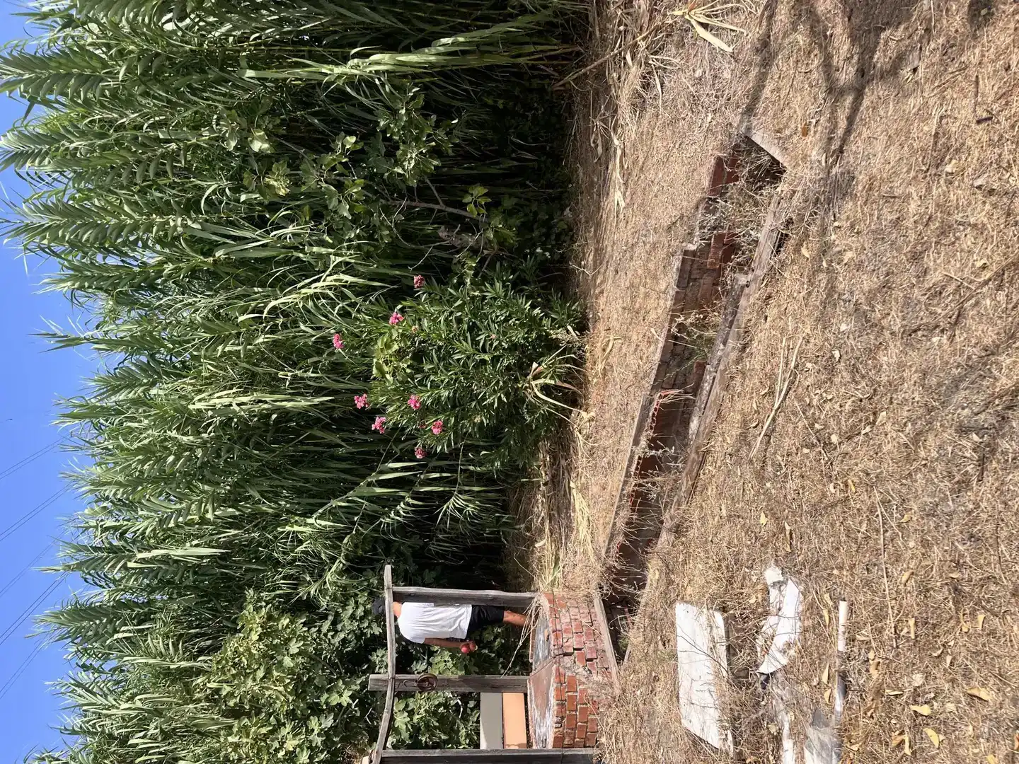 Land for sale in Pinto