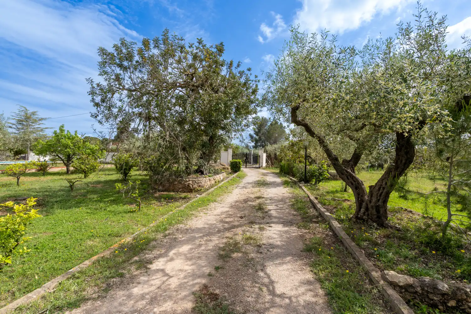 Garden of Houses for sale in Aldover  with Air Conditioner, Private garden and Terrace
