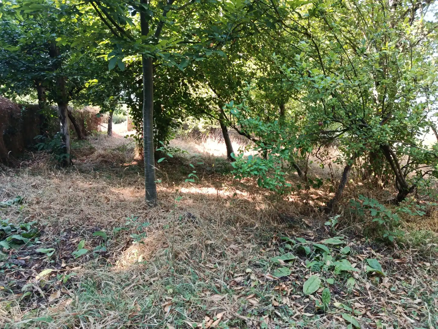 Maison à vendre à Lugar San Vicente de Pias, imagen 15