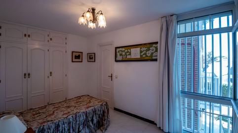 Foto 2 de Estudio de alquiler en Raya del Palancar - Guadamonte, Villanueva de la Cañada