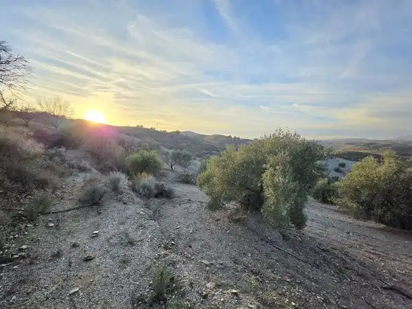 Finca rústica en venta en Lorca