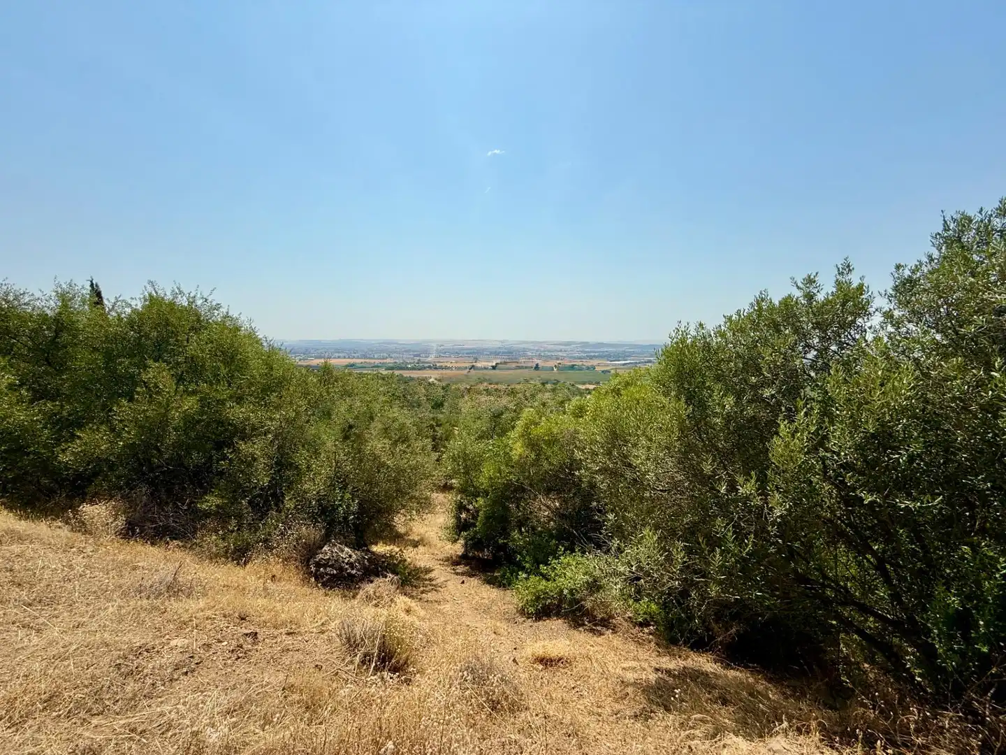 Grundstücke und Bauplätze zum Verkauf in Poniente-Norte - Miralbaida - Parque Azahara, imagen 5