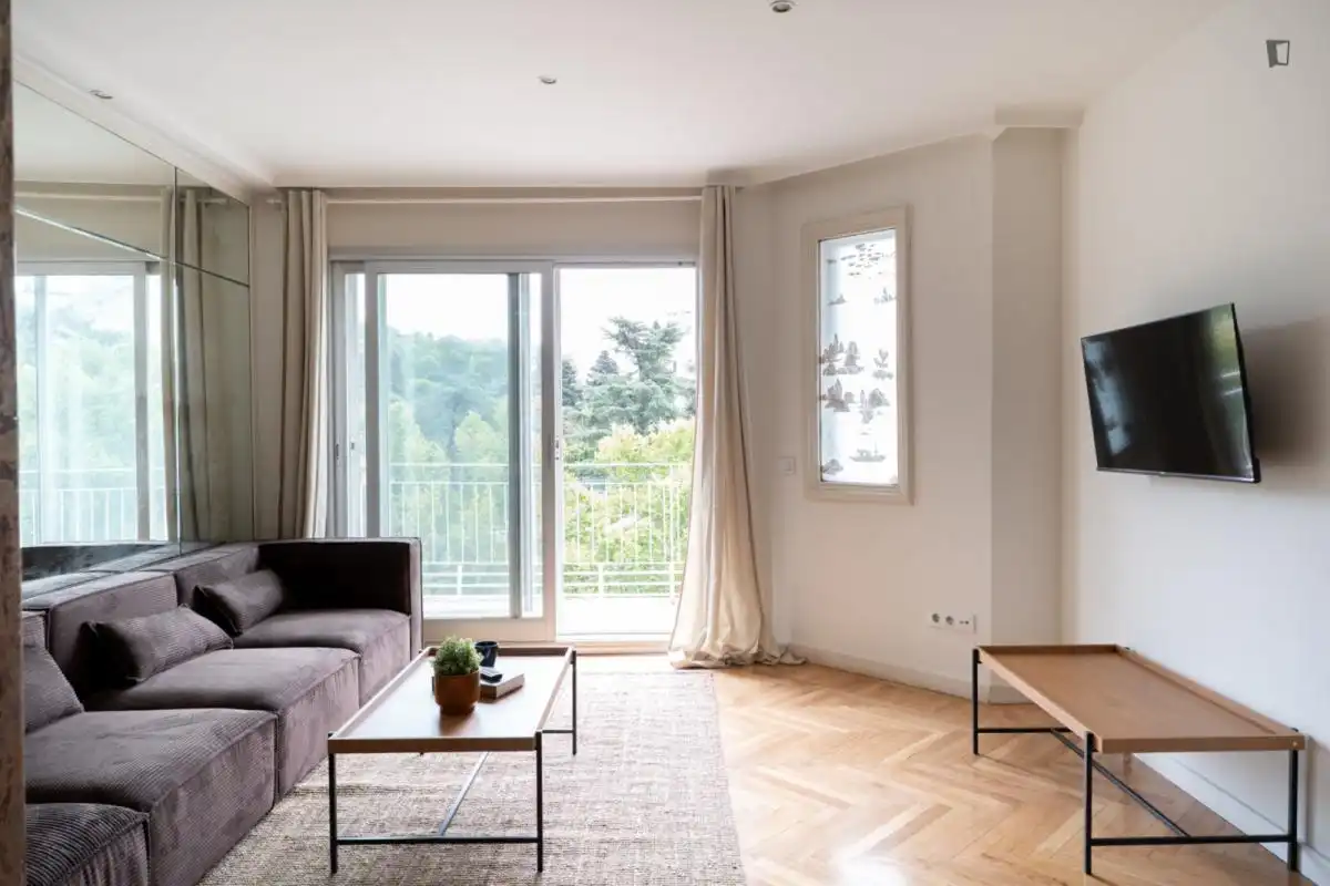 Wohnzimmer von Wohnungen zur untervermieten in Madrid mit Möbliert, Ofen und Waschmaschine