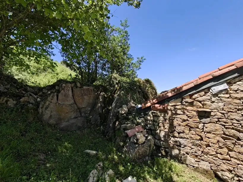 Terreno rustico in vendita a Proaza, imagen 23