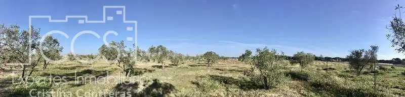 Finca rústica en venta en Almonte