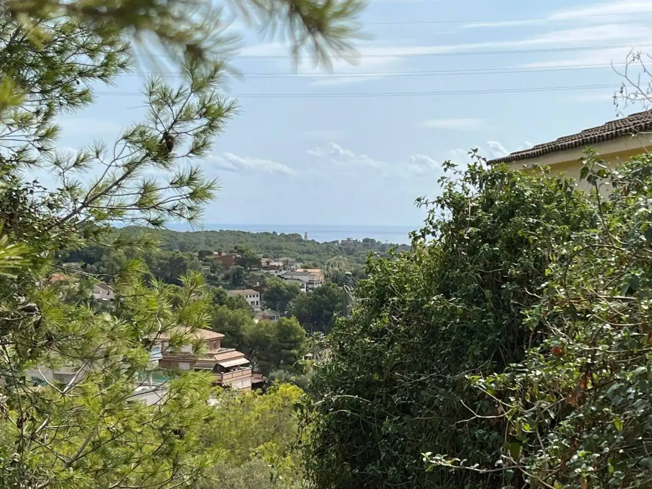 Terrain rustique à vendre à Calle VELAZQUEZ 24, imagen 8