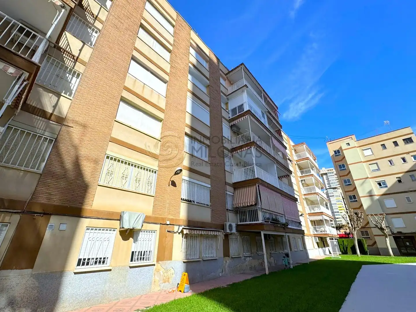 Vista exterior de Estudio en venta en Benidorm con Aire acondicionado, Jardín privado y Amueblado