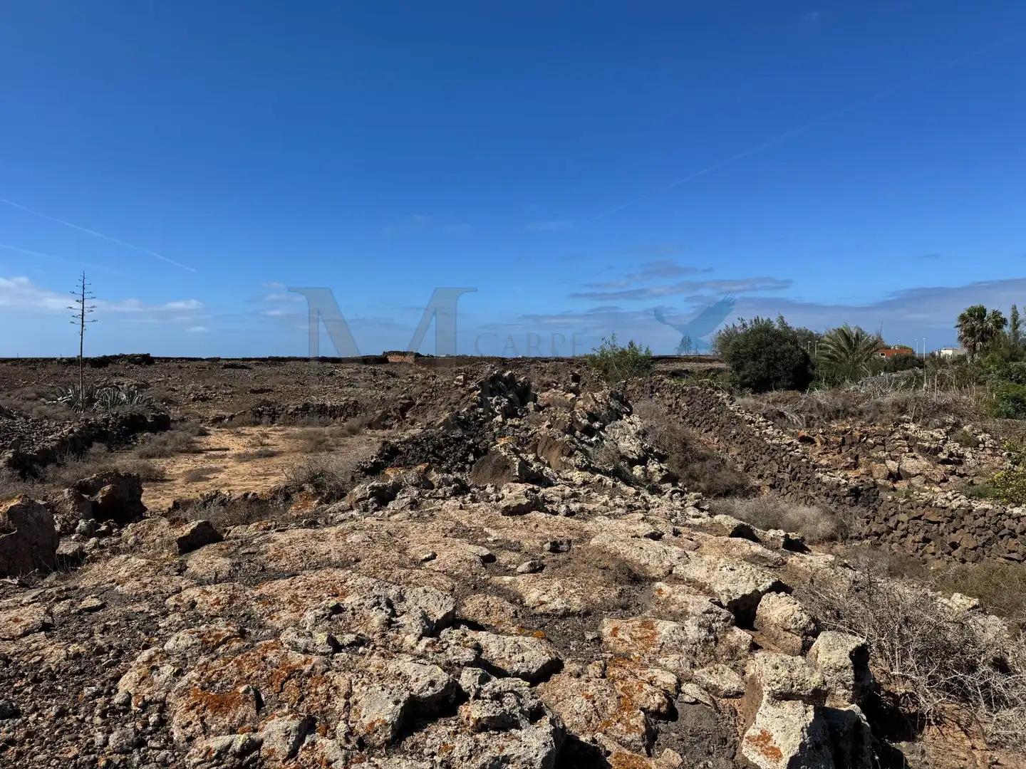 Land for sale in La Oliva