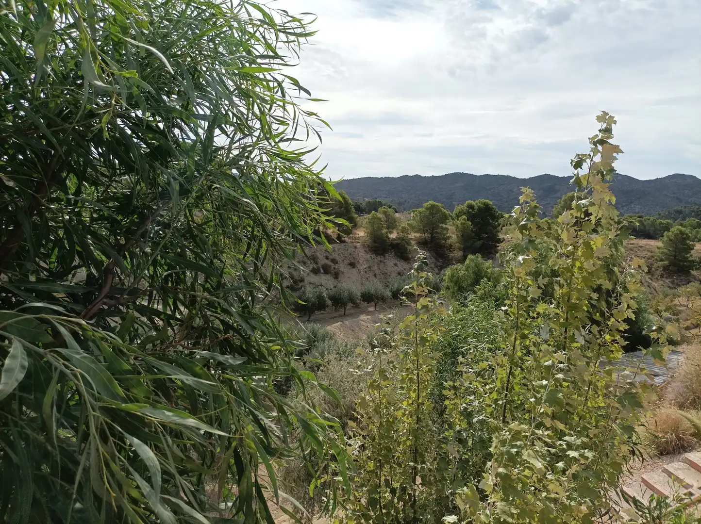 Xalet amb terrassa en venda a Carretera Alicante 3, imagen 44