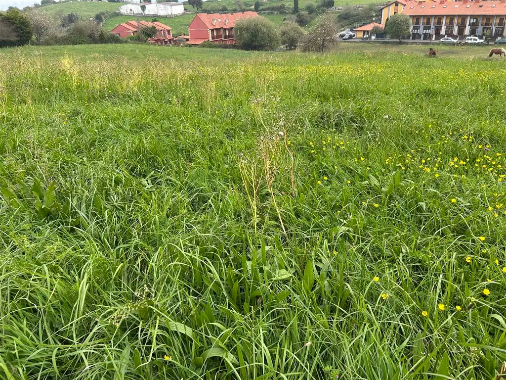 Residencial en venda en Val de San Vicente 