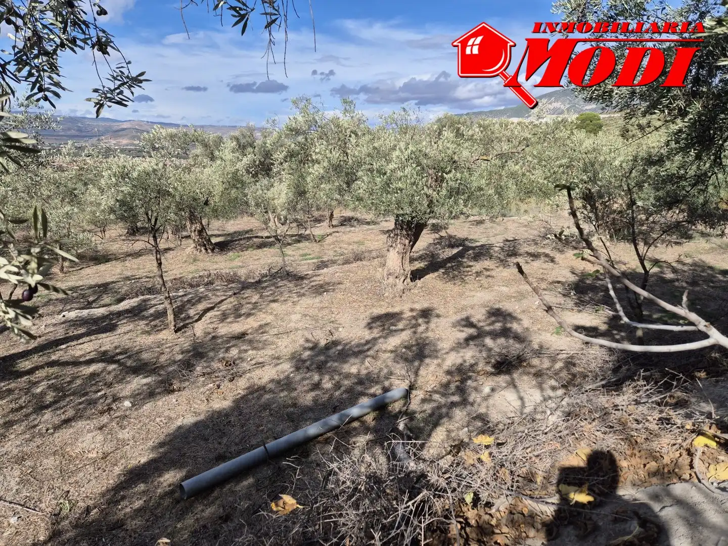 Lands and plots for sale in Dúrcal, imagen 11