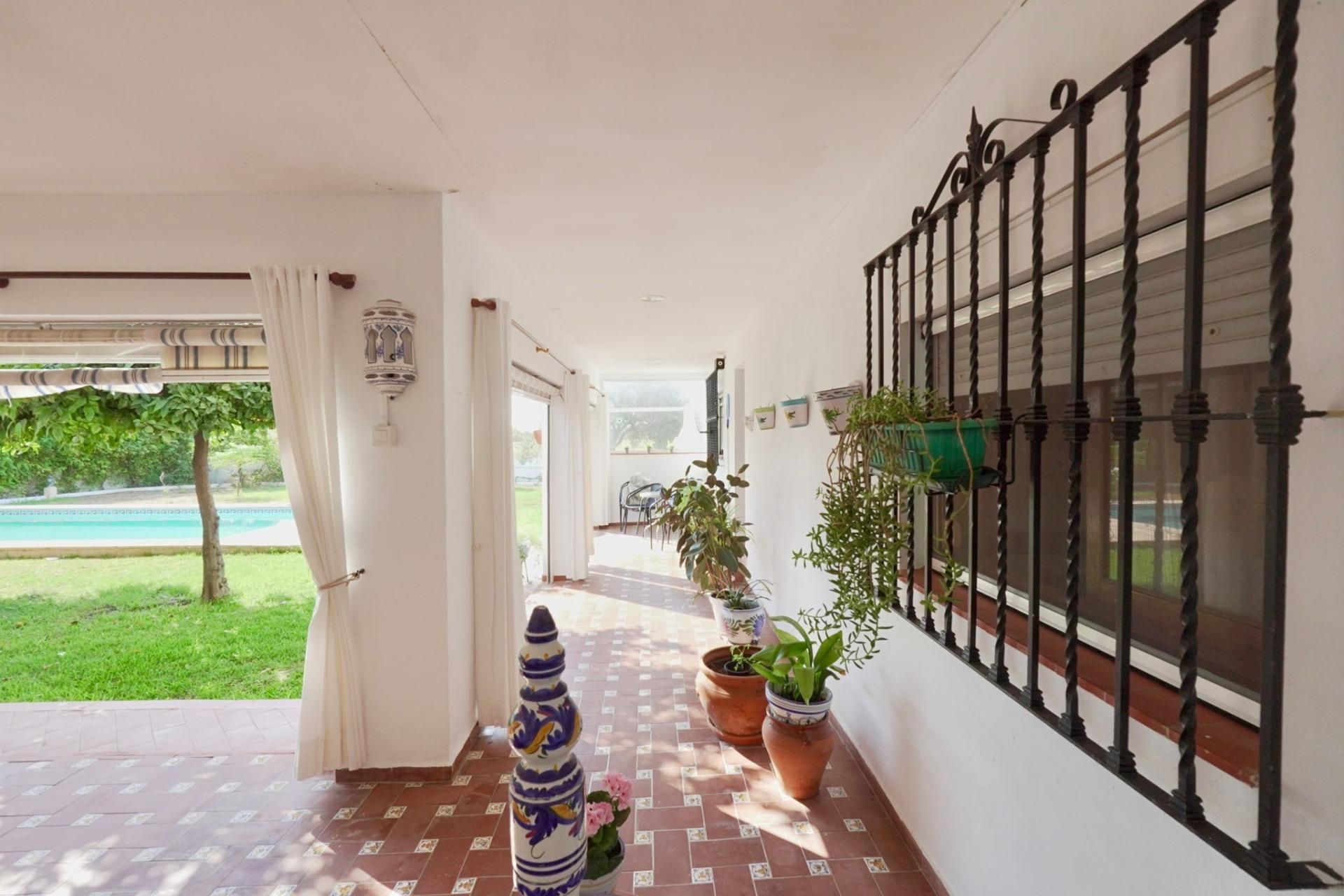 Jardí de Casa o xalet en venda en Utrera amb Jardí privat i Piscina