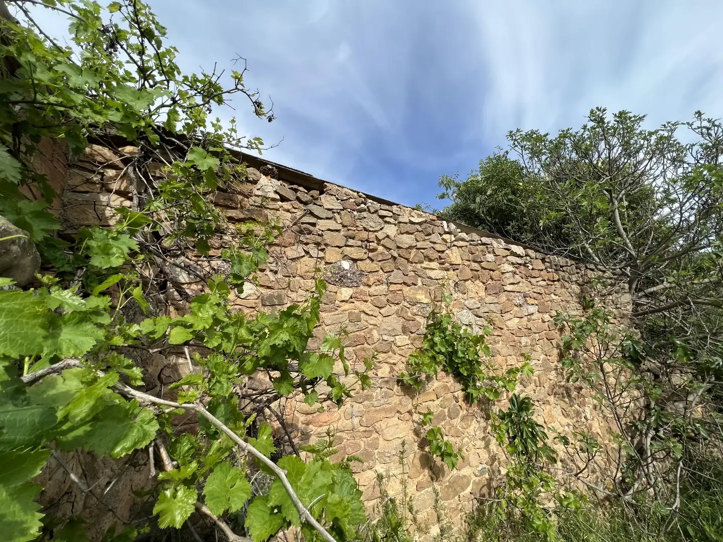 Wohnbaugrundstück zum Verkauf in Mestre Antoni Vicent, imagen 2