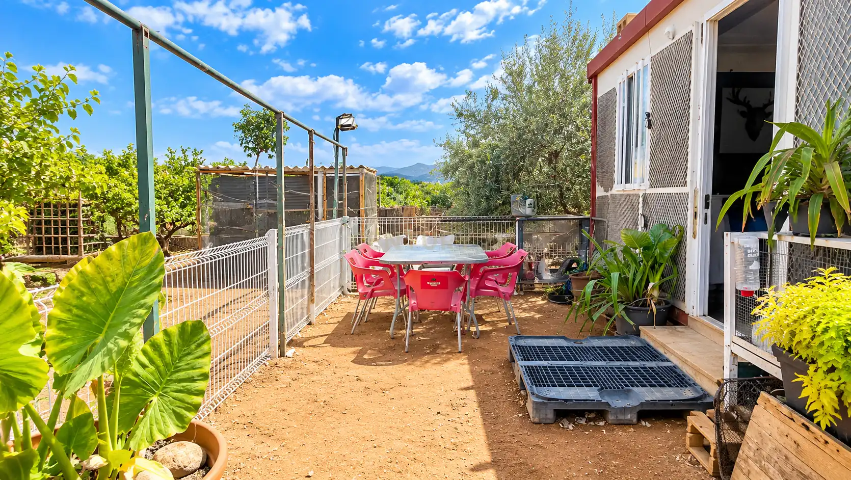 Terrace of Houses for sale in Marines, Valencia
