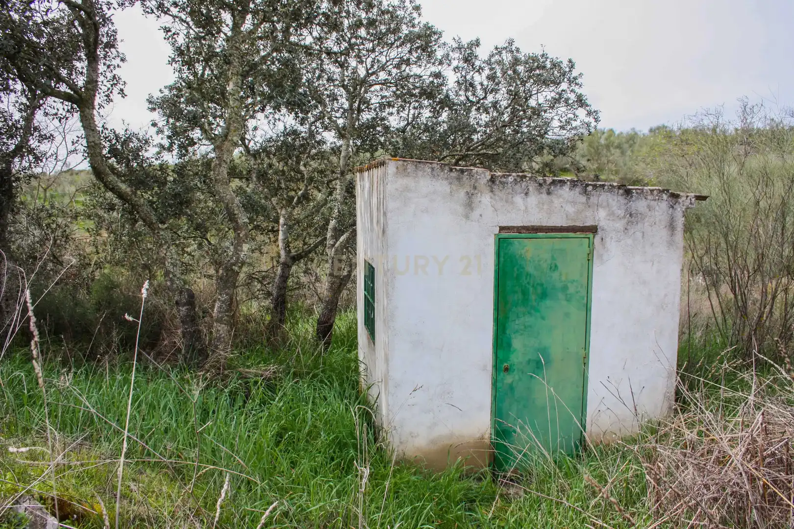 Land for sale in Azuaga
