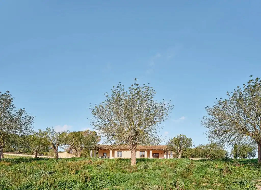 Vista exterior de Casa o xalet de lloguer en Algaida amb Aire condicionat, Calefacció i Jardí privat