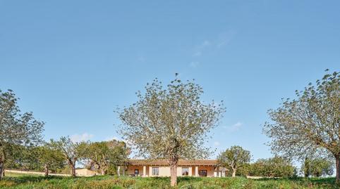 Photo 3 of Houses for rent in Algaida, Illes Balears