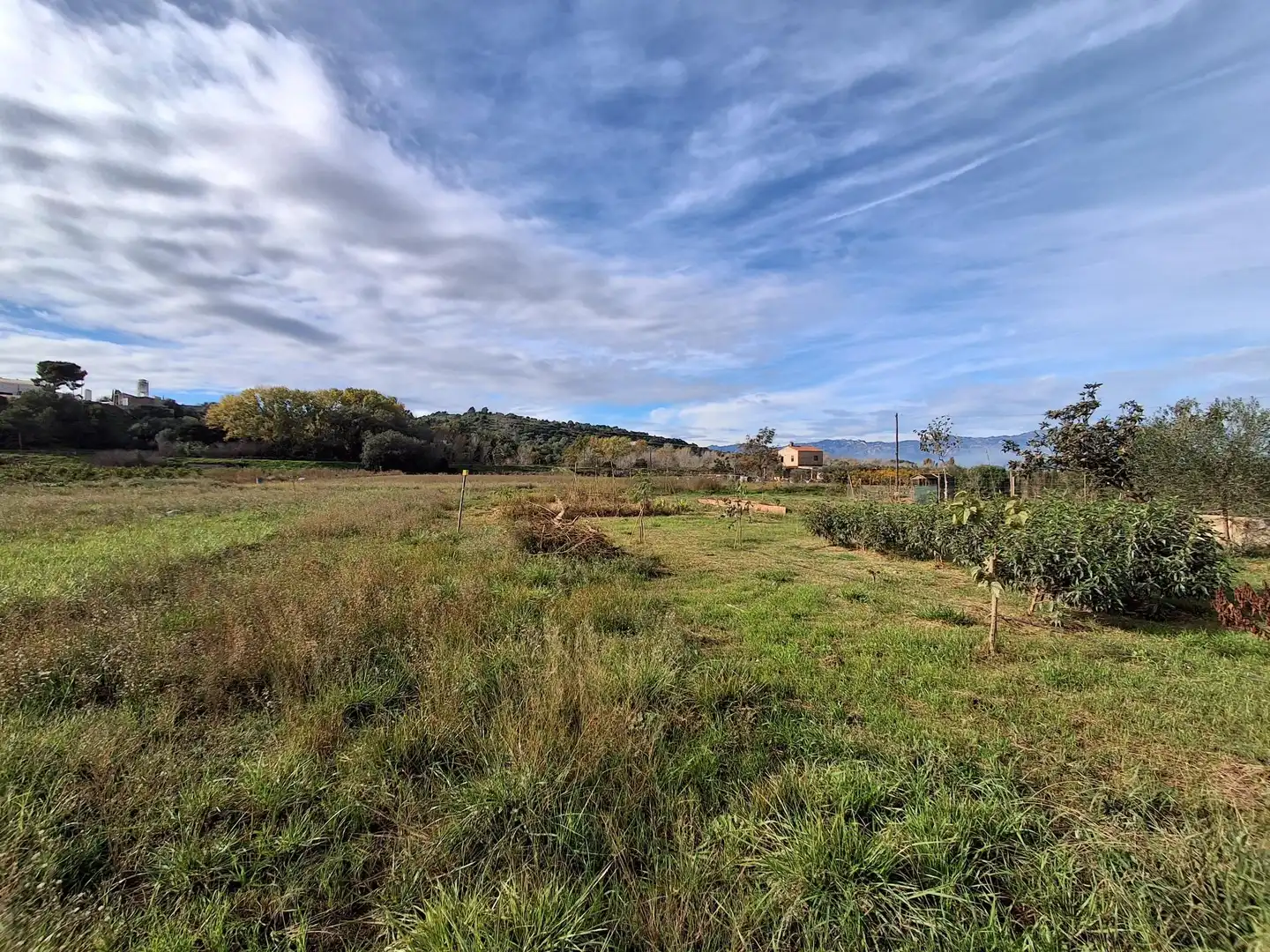 Casa o xalet en venda en Amposta