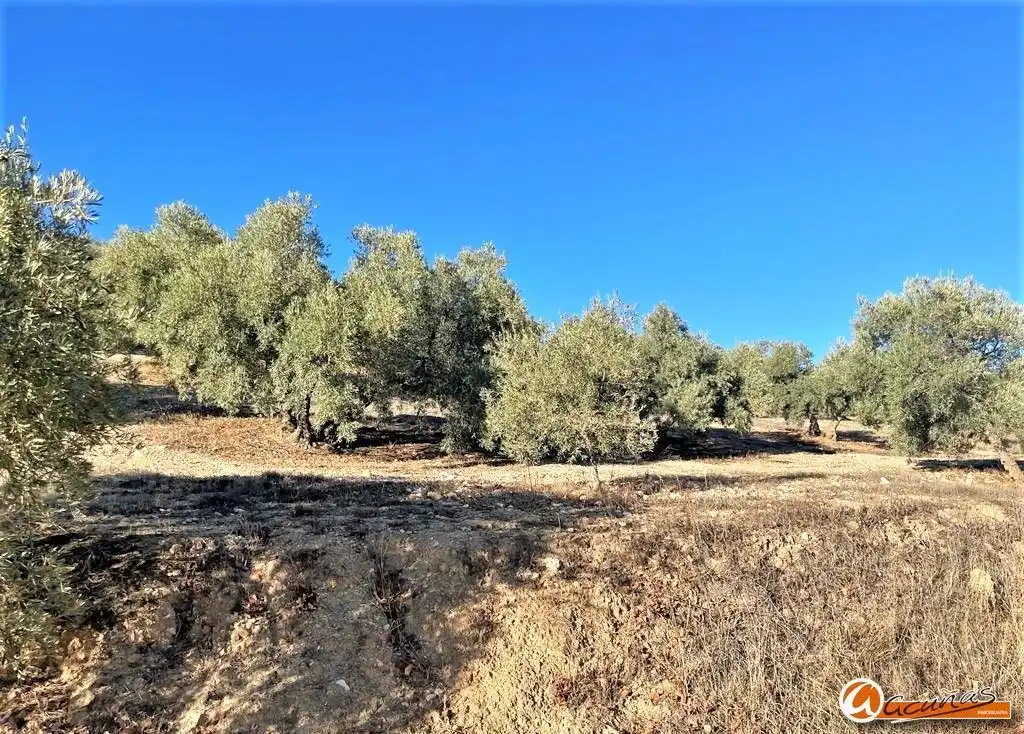 Land for sale in Villanueva del Rosario