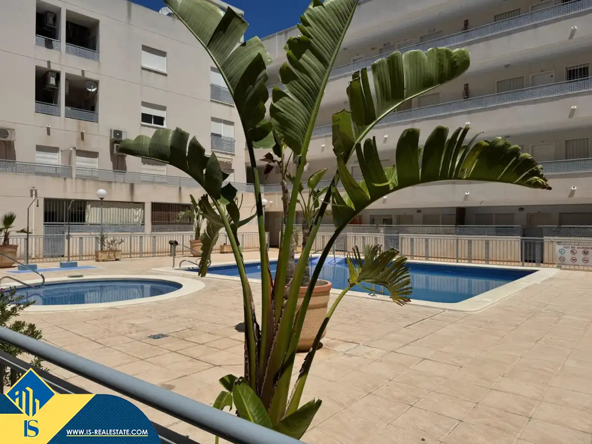 Piscina de Apartament en venda en Almoradí amb Aire condicionat, Calefacció i Terrassa