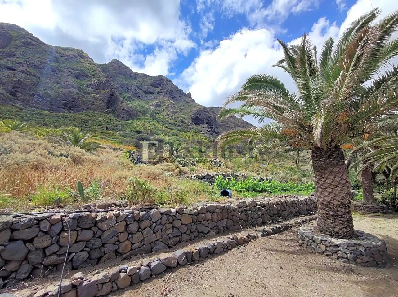 Country homes for sale in Buenavista del Norte