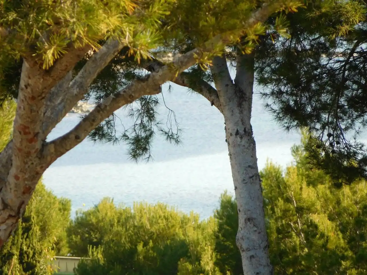 Garten von Residential zum Verkauf in Calvià