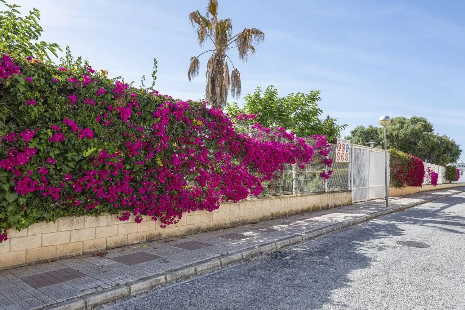 Chalet con piscina en venta en Calle Adarves de Calypso, imagen 11