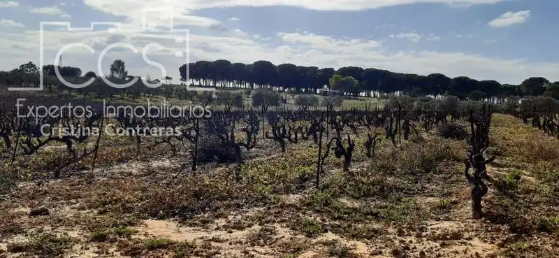 Terreni e lotti in vendita a Almonte ciudad, imagen 5
