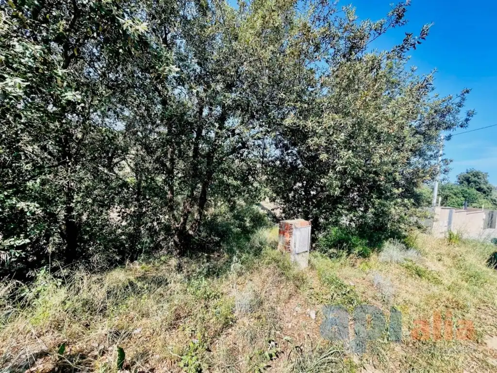 Terreno residencial en venta en Calle Alzina, imagen 4