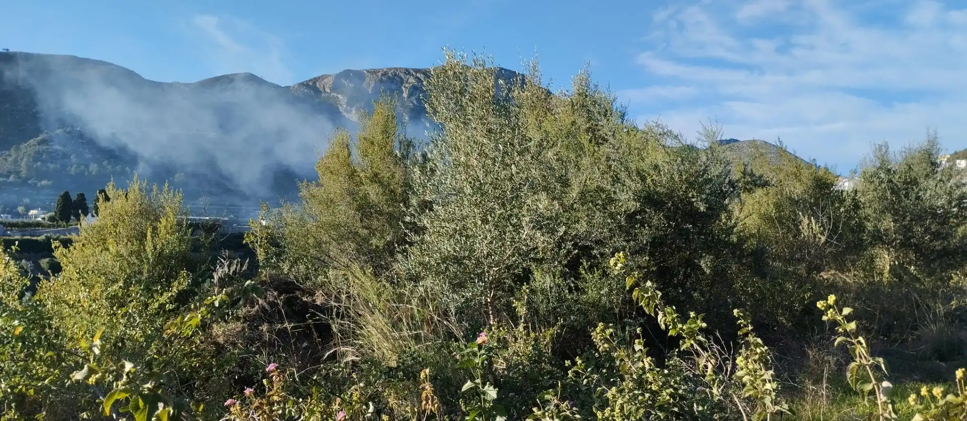 Terreny rústic en venda a L'Atzúbia, imagen 11