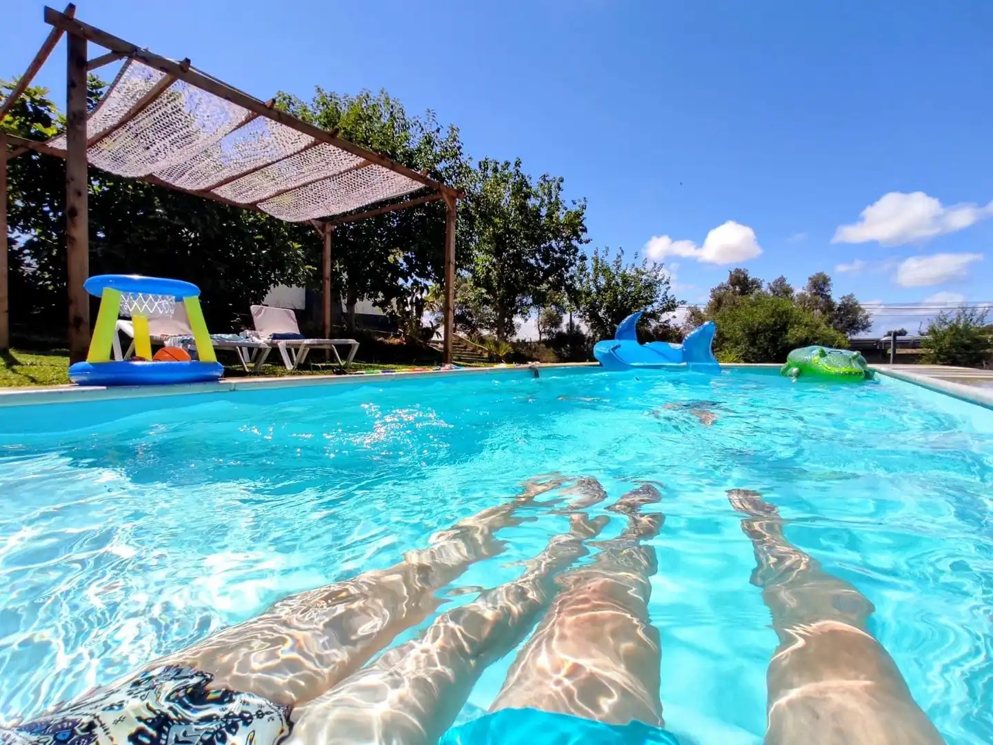 Swimming pool of Country homes for sale in Chiclana de la Frontera  with Private garden, Storage room and Swimming Pool