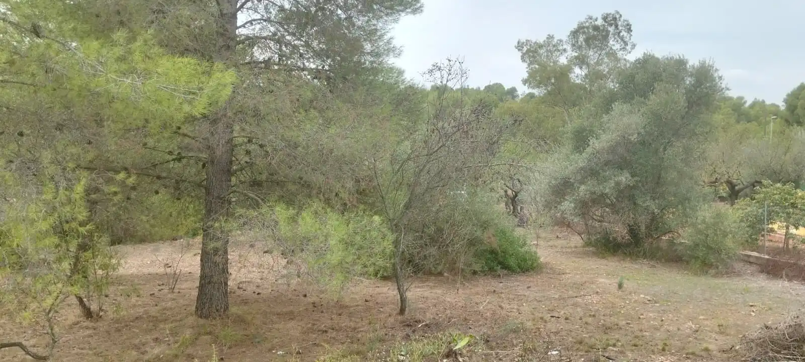 Terreny residencial en venda a Sant Joan de Moró, imagen 4