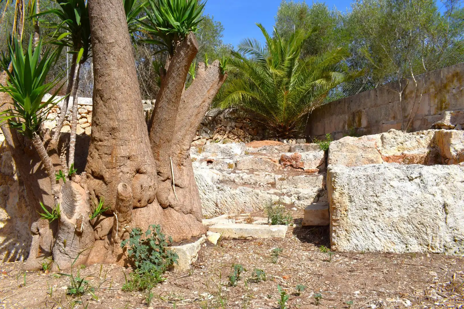 Jardín de Finca rústica en venta en Muro con Aire acondicionado, Jardín privado y Terraza