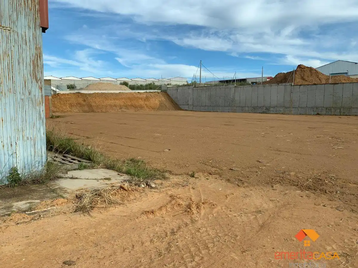 Nave industrial in affitto a Oeste, imagen 7
