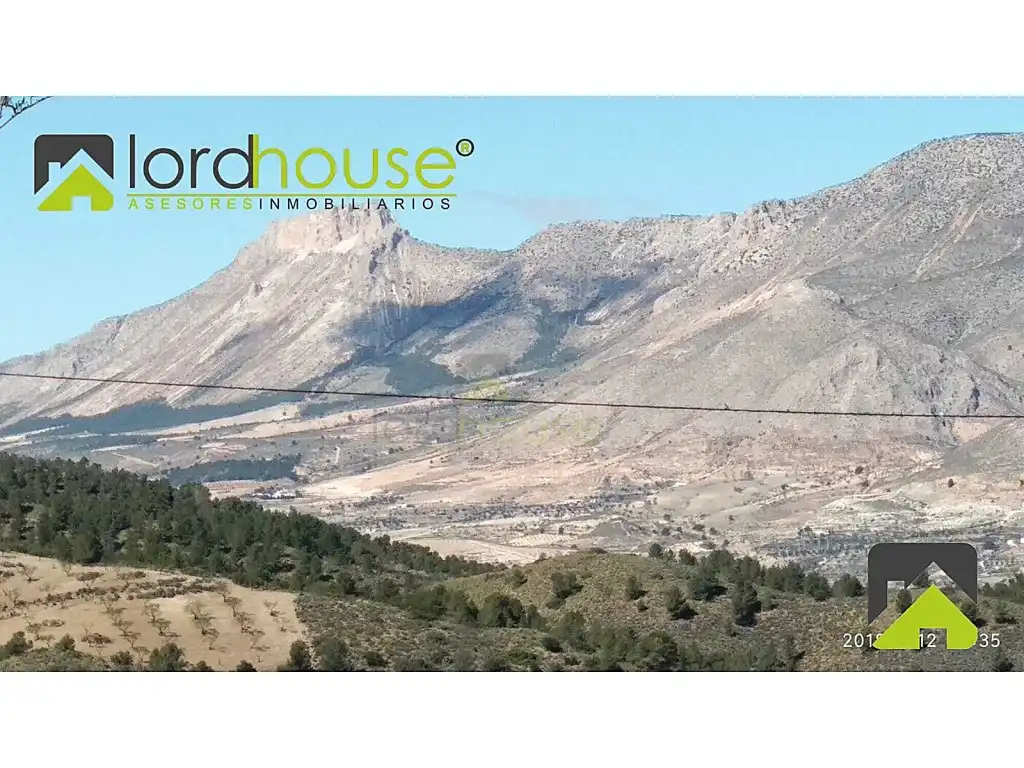 Finca rústica en venta en Lorca