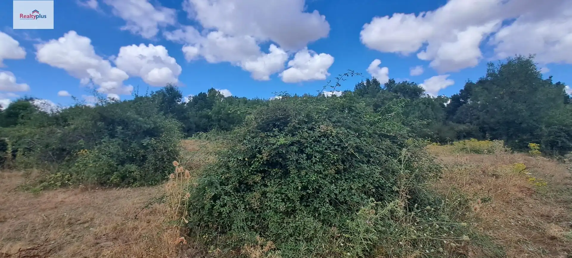 Terreni e lotti in vendita a Sotosalbos, imagen 22