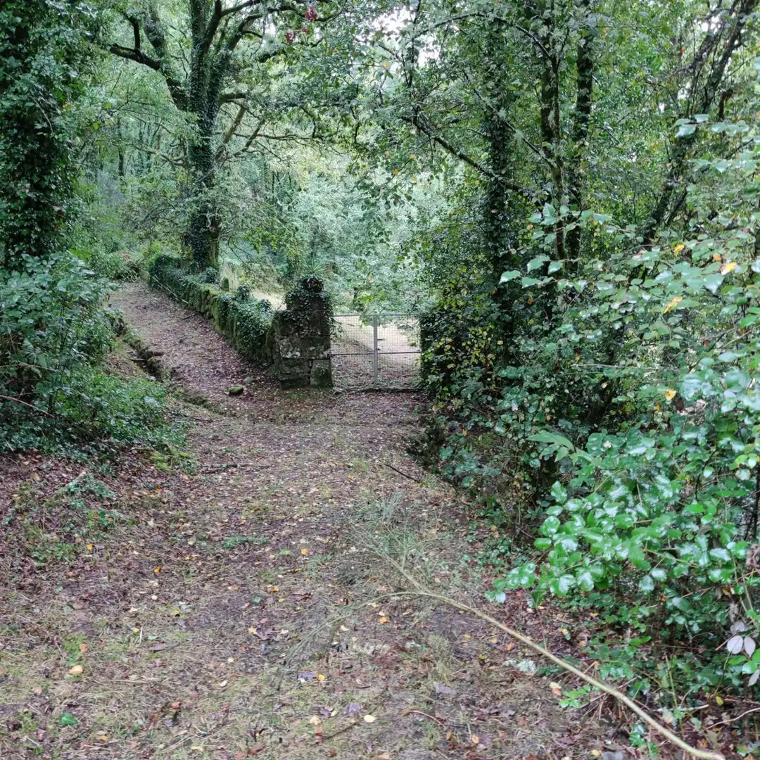 Garden of Land for sale in Cotobade
