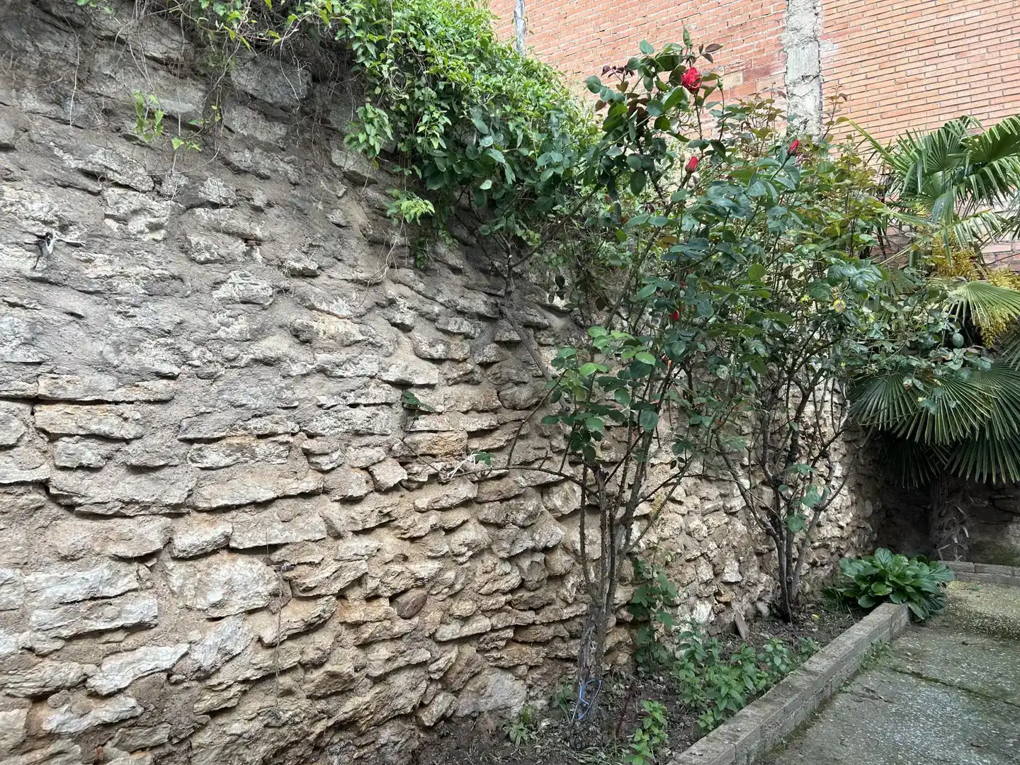 Vista exterior de Casa adosada en venda en Paracuellos de Jiloca amb Balcó