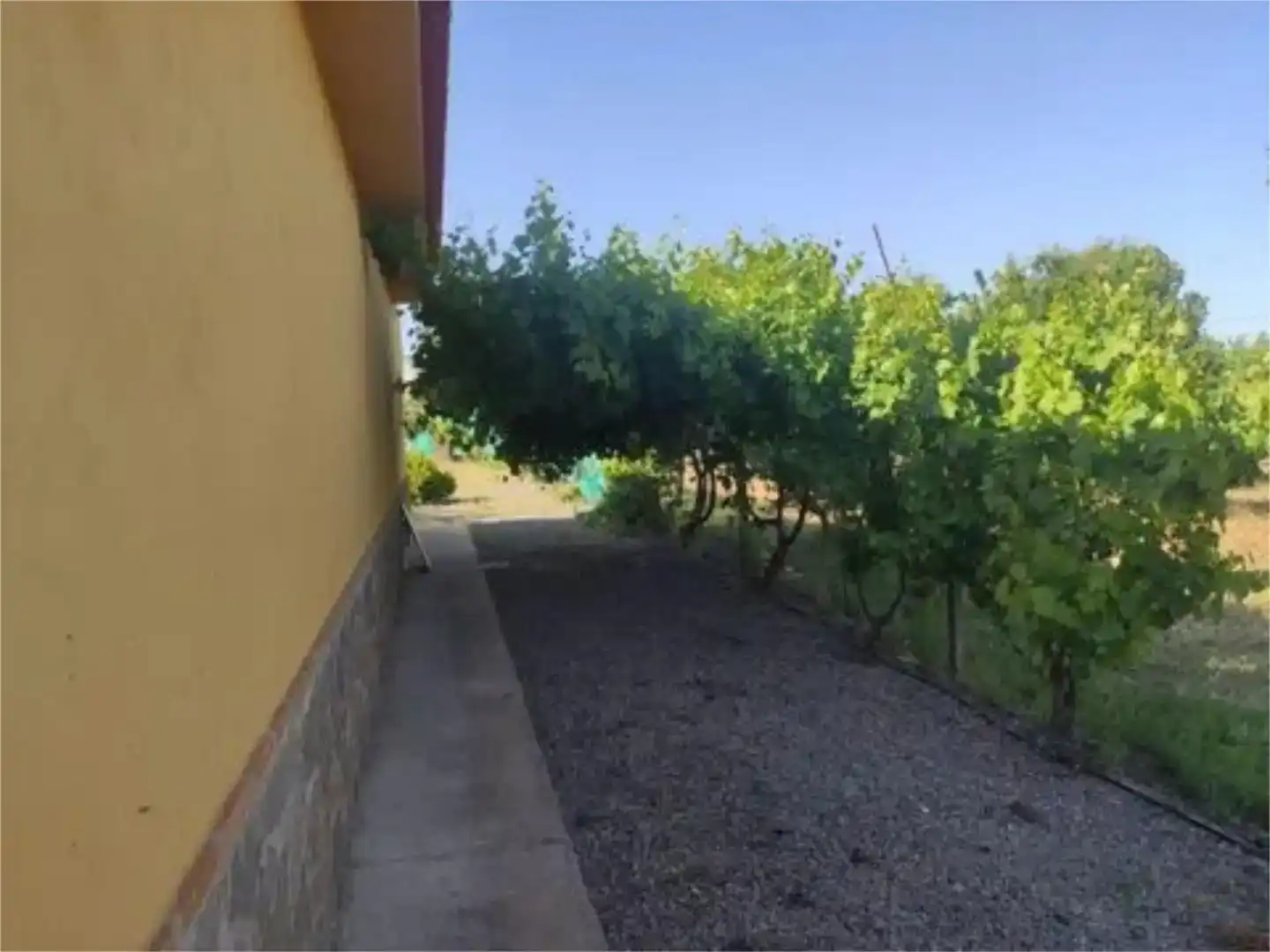 Finca rústica en venda en Consuegra amb Jardí privat i Moblat