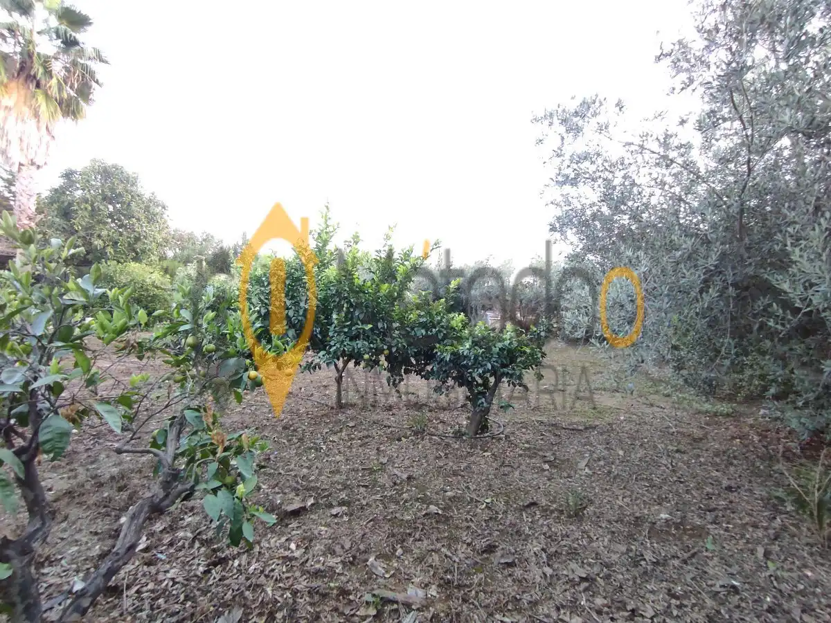 Casa o chalet en venta en Carmona, Carmona