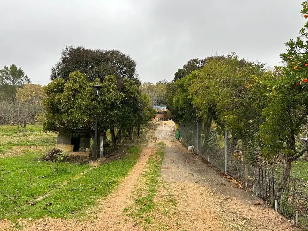 Vista exterior de Casa o chalet en venta en Loranca de Tajuña con Aire acondicionado, Calefacción y Jardín privado