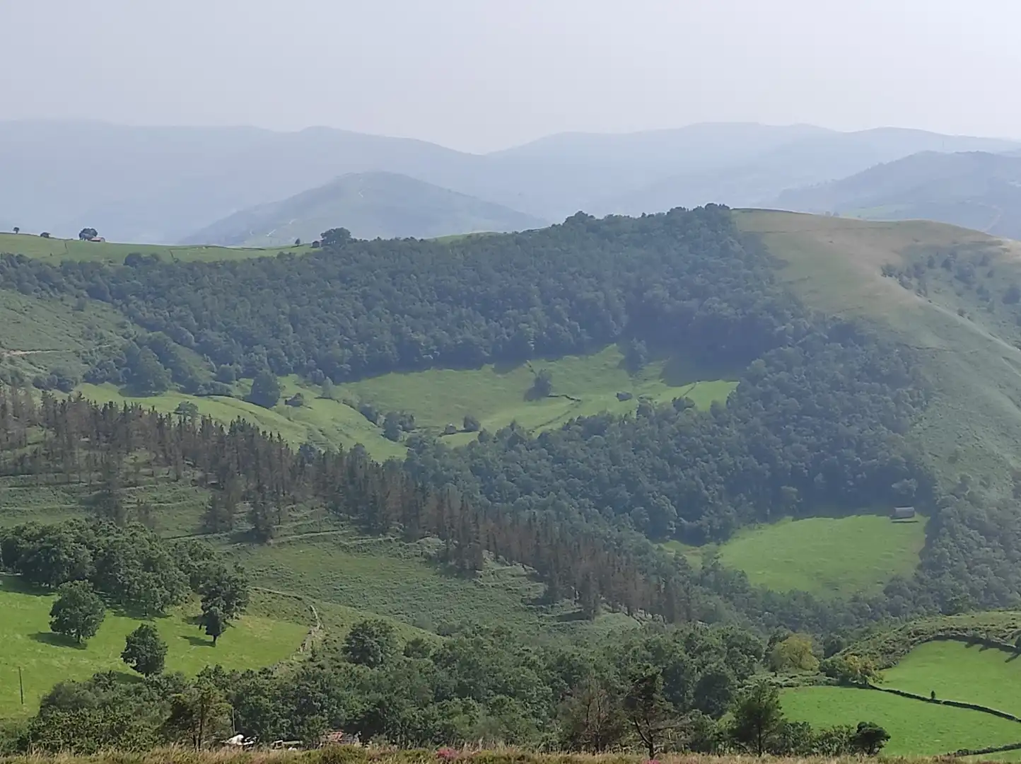 Casa rústica amb jardí en venda a Vega de Pas, imagen 3