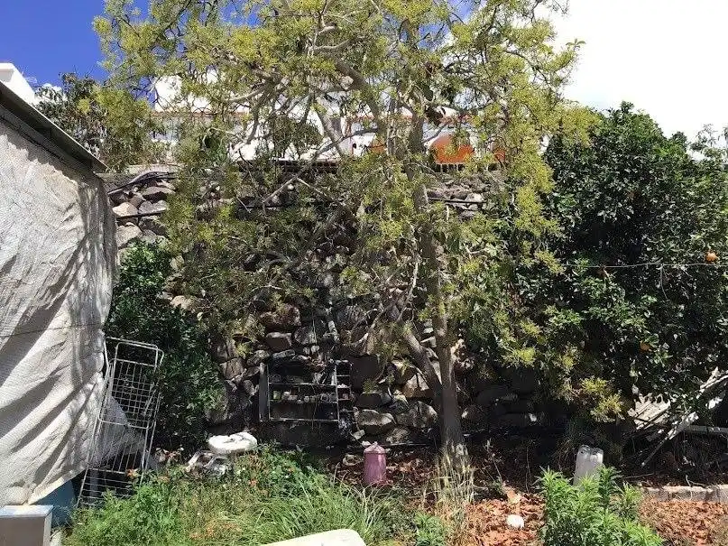 Jardín de Finca rústica en venta en San Bartolomé de Tirajana con Jardín privado, Terraza y Trastero