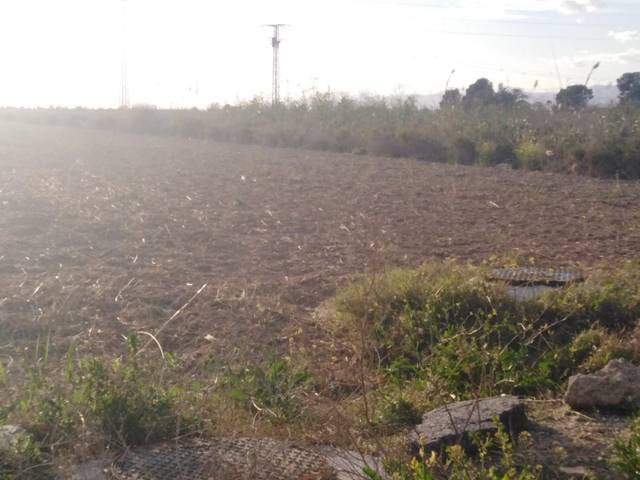 Terreno en Venta en La Foia - Daimés - Asprella