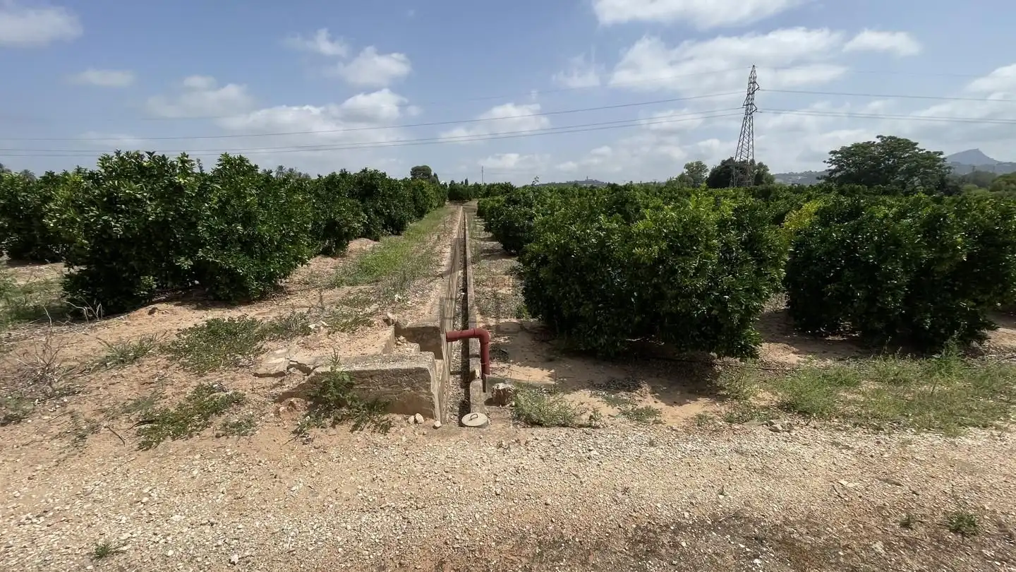 Finca rústica en venda en Alzira