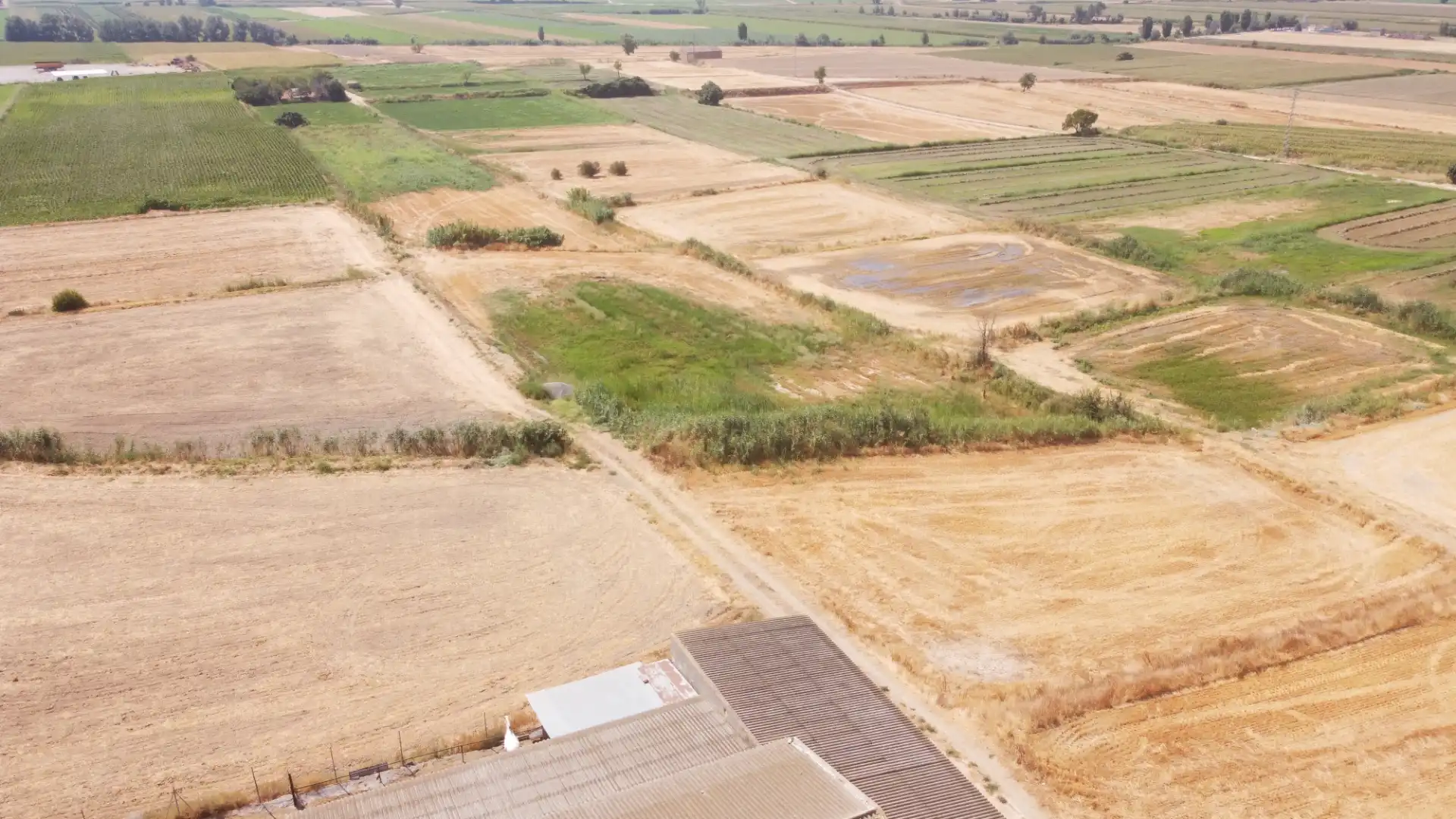 Land for sale in Linyola