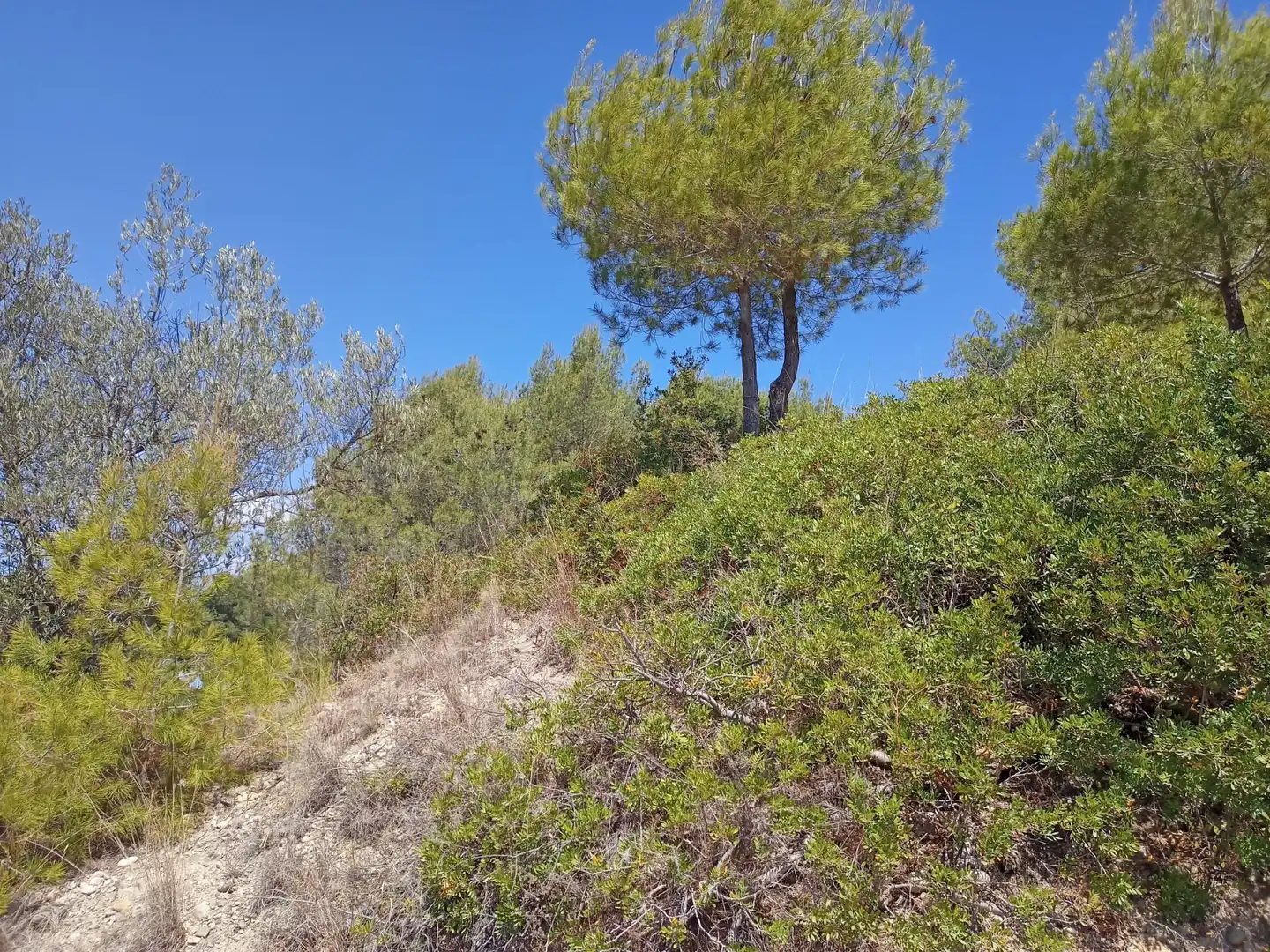 Residencial en venda en Olesa de Montserrat