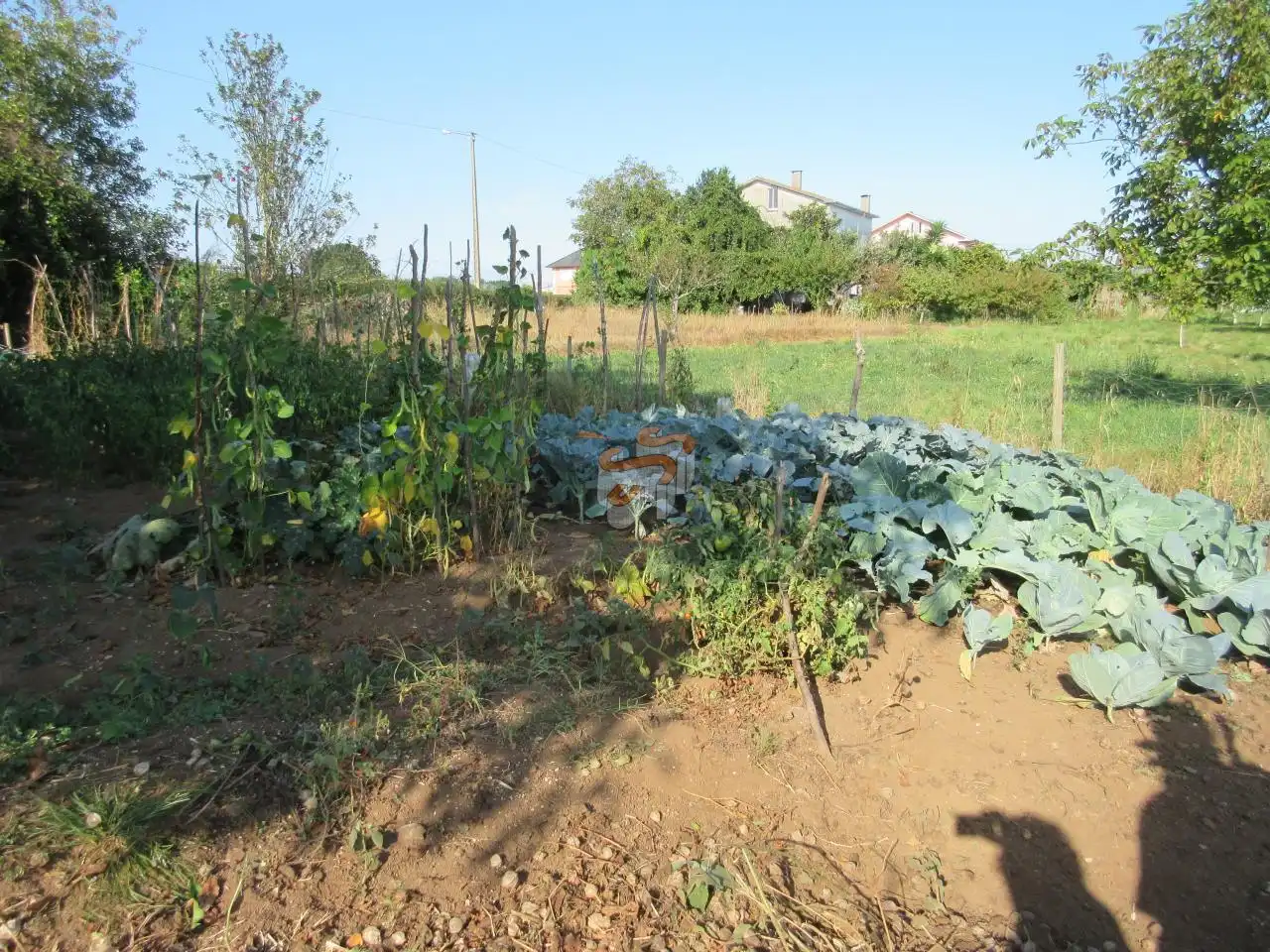 Casa rústica amb jardí en venda a A Malata - Catabois - Ciudad Jardín, imagen 23