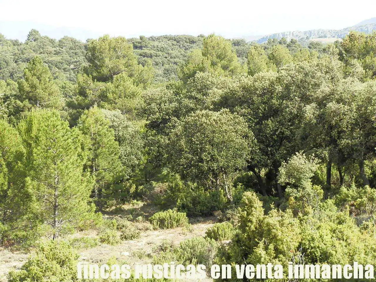Terreno rustico in vendita a Caravaca de la Cruz, imagen 16